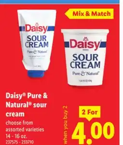 Lidl Daisy Pure & Natural sour cream offer