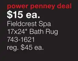 JC Penney Fieldcrest Spa 17x24 Bath Rug offer
