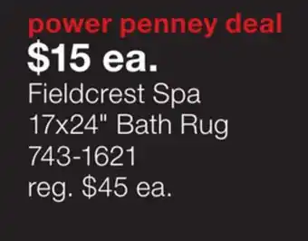 JC Penney Fieldcrest Spa 17x24 Bath Rug offer
