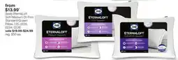 JC Penney Sealy EternaLoft Soft/Medium Or Firm Standard/Queen Pillow offer