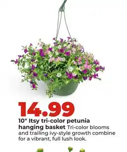 Hy-Vee 10 Itsy tri-color petunia hanging basket offer