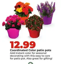 Hy-Vee Coordinated Color patio pots offer