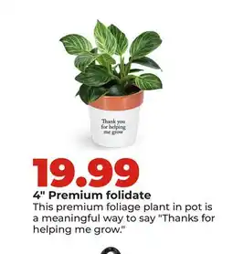 Hy-Vee 4 Premium folidate offer
