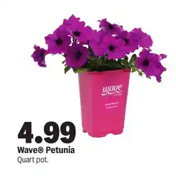 Meijer Wave Petunia offer