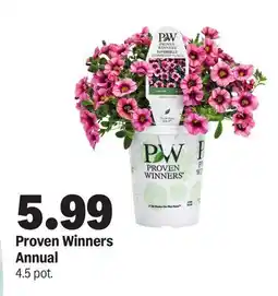 Meijer Proven Winners Annual offer