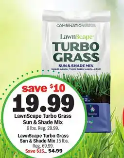 Meijer LawnScape Turbo Grass Sun & Shade Mix offer
