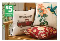 Dollar General Toss Pillows offer