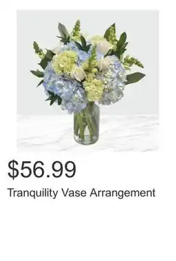 Costco Tranquility Vase Arrangement offer