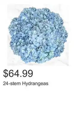 Costco 24-stem Hydrangeas offer