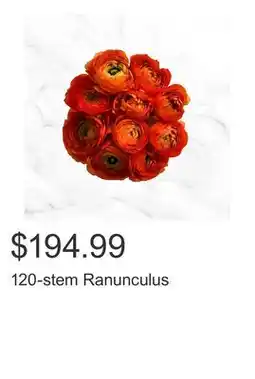 Costco 120-stem Ranunculus offer