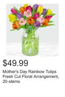 Costco Mother's Day Rainbow Tulips Fresh Cut Floral Arrangement, 20-stems offer