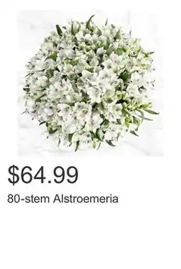 Costco 80-stem Alstroemeria offer