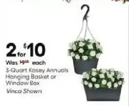Lowe's 3 Quart Kasey Annuals Hanging Basket.or Window Box Vinca Shown offer