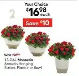 Lowe's 1.5 gal monrovia annuals honging basket planter or bowl offer
