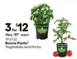 Lowe's Bonnie Plants Vegetables and Herbs offer