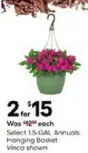 Select 1.5 gal annuals hanging basket vinco shown