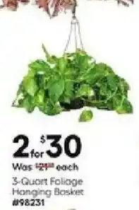 Lowe's 3 Quart Foliage Hanging Basket offer