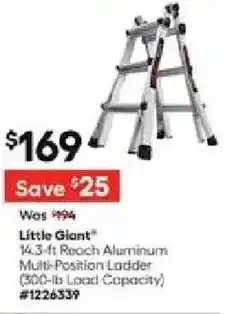 Lowe's Little Giant offer