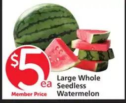 Vons Large Whole Seedless Watermelon offer