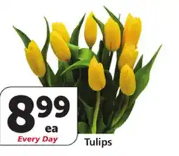 Vons Tulips offer