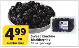 Vons Sweet Karoline Blackberries offer