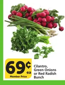Vons Cilantro, Green Onions or Red Radish Bunch offer
