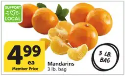 Albertsons Mandarins offer