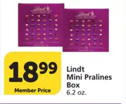 Albertsons Lindt Mini Pralines Box offer