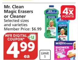 Pavilions Mr. Clean Magic Erasers or Cleaner offer