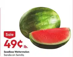 Stater Bros Seedless Watermelon offer