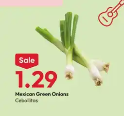 Stater Bros Mexican Green Onions offer