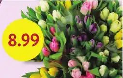 Fresh Thyme 10 Stem Fresh Cut Tulips offer