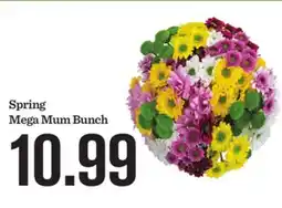 Mariano's Spring Mega Mum Bunch offer