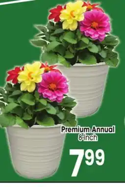 Jewel-Osco Premium Annual offer