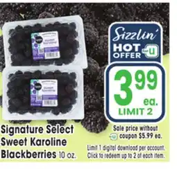 Jewel-Osco Signature Select Sweet Karoline Blackberries offer