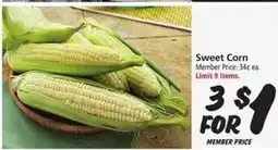 Safeway Sweet Corn offer