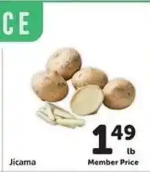 Safeway Jicama offer