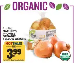 Food Lion Nature's Promise Organic Yellow Onions offer