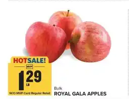 Food Lion ROYAL GALA APPLES offer