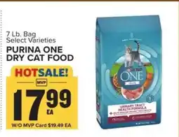 Food Lion Purina One Dry Cat Food offer