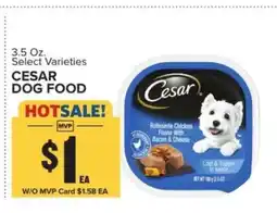 Food Lion Cesar Dog Food offer