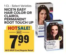 Food Lion Clairol Hair Color offer