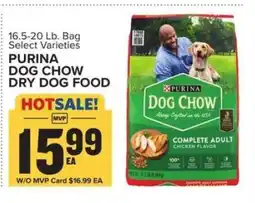 Food Lion Purina Dog Chow Dry Dog Food offer