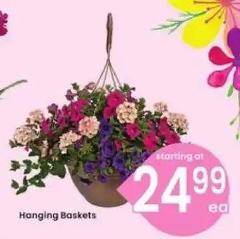 Hanging Baskets