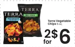 Albertsons Terra Vegetable Chips offer