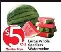 Albertsons Large Whole Seedless Watermelon offer
