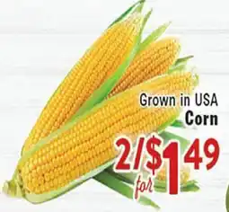 Rio Valley Market Corn offer