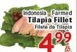 Rio Valley Market Indonesia Farmed Tilapia Fillet offer