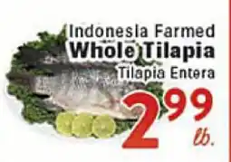 Rio Valley Market Indonesia Farmed Whole Tilapia offer