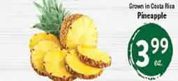 Rio Valley Market Pineapple offer